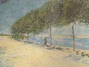 Vincent Van Gogh Wald along the Banks of the Seine near Asnieres (nn04) USA oil painting artist